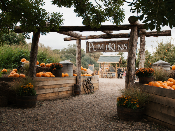 Pumpkin Open Dated Tickets