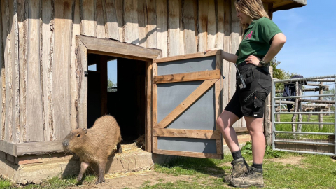 Home Education Package