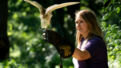 1 Hour Falconry Experience