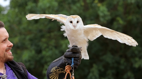 2 Hour Falconry Experience