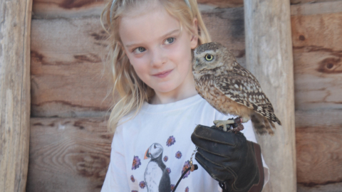 Children's Falconry Experience
